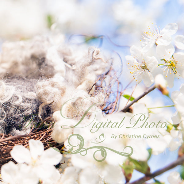 Nest Cherry Blossom - Beautiful Digital background Newborn Photography Prop download