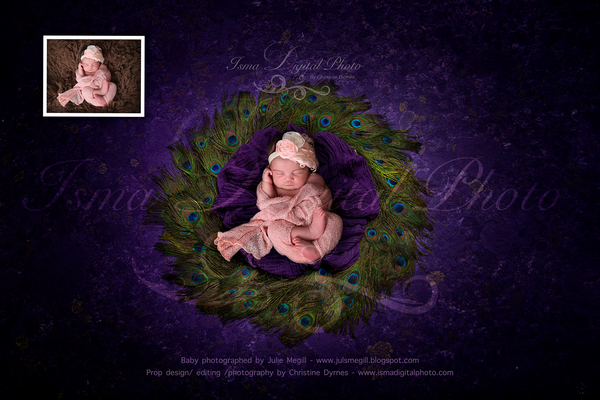 Digital peacock feather circle design with texture - Newborn digital backdrop /background - JPG