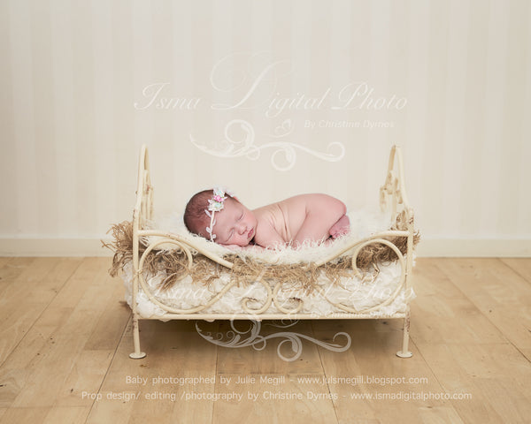 Iron Bed 2 - Digital photography backdrop /props for newborn photography - psd with layers