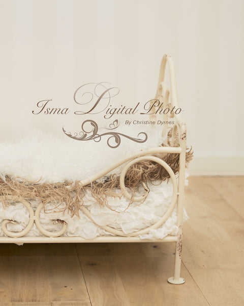 Iron Bed 2 - Digital photography backdrop /props for newborn photography - psd with layers