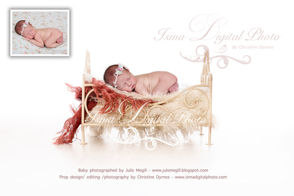 Iron bed with white background - Newborn digital backdrop - psd with layers