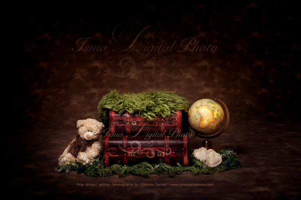 Newborn digital suitcase with globe and teddy bear - Digital backdrop /background - JPG