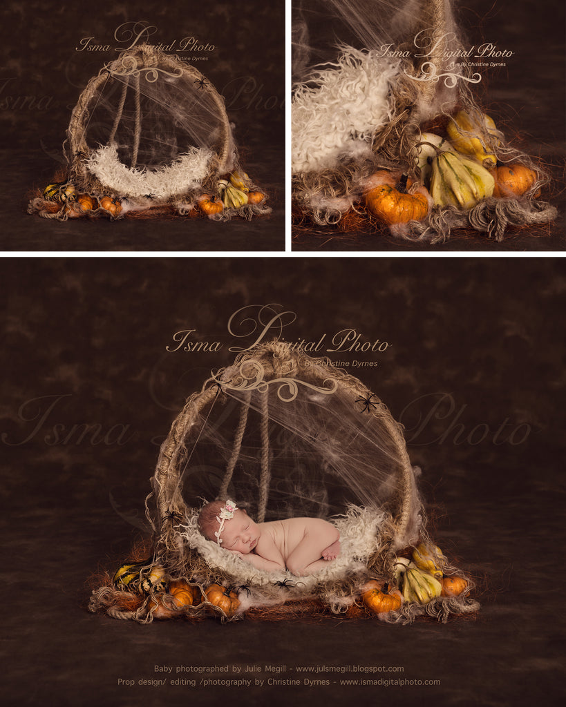 Purchase 2 Halloween digital backdrops and get 50% off!