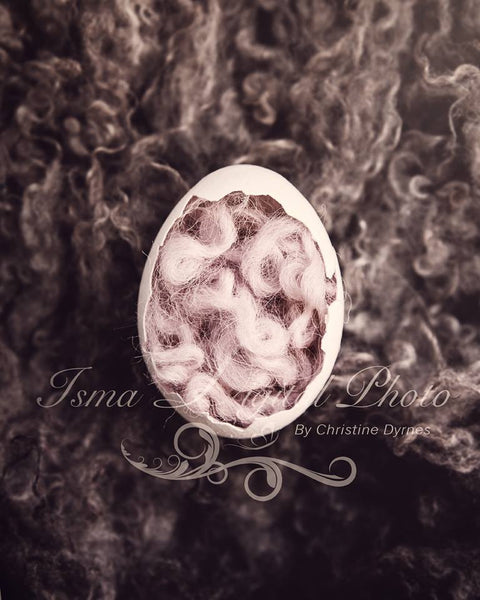 Egg 3 - Beautiful Digital background Newborn Photography Prop download