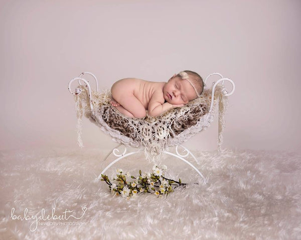 Iron bed chair - Beautiful Digital Newborn  Background - Reduced Price