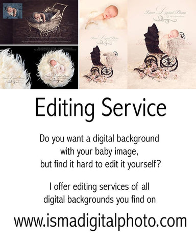 Purchases - editing service
