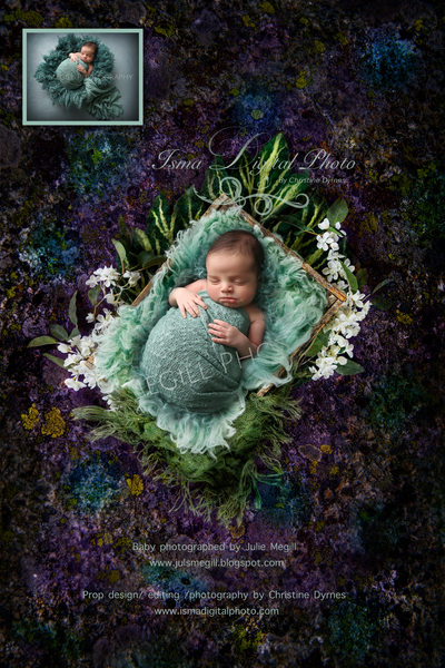 Artistic Autumn Wooden Box Design - Newborn digital backdrop /background - JPG