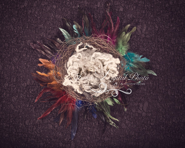 Artistic Feather Nest 2 - Beautiful Digital background Newborn Photography Prop download