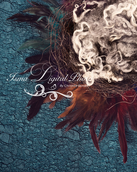 Artistic Feather Nest - Beautiful Digital background Newborn Photography Prop download