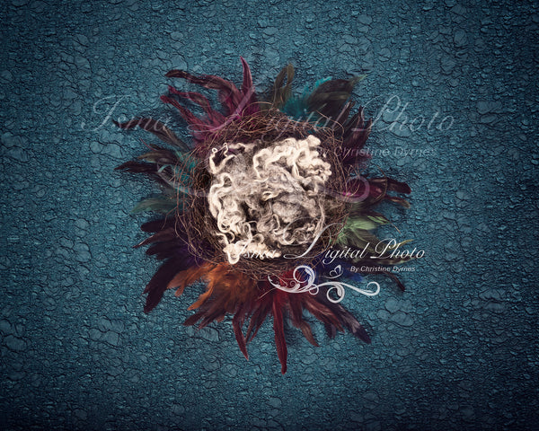 Artistic Feather Nest - Beautiful Digital background Newborn Photography Prop download