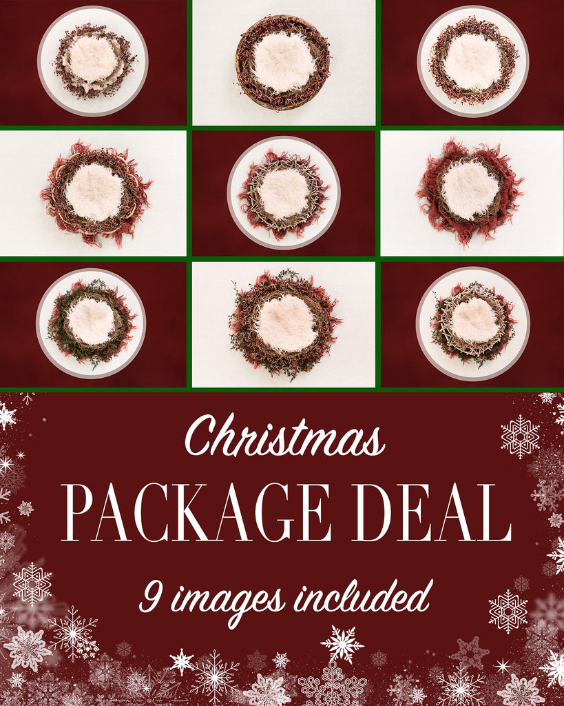 Package deal - Newborn Christmas nest - Digital backdrop /background - psd with layers