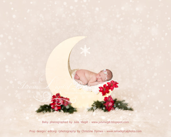Christmas Moon  - Beautiful Digital background Newborn Photography Prop download - psd with overlay
