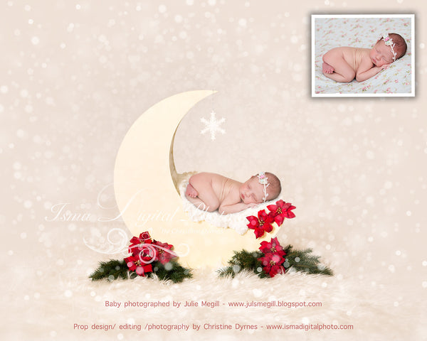 Christmas Moon  - Beautiful Digital background Newborn Photography Prop download - psd with overlay