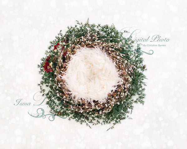 Christmas newborn wreath - Digital backdrop - psd with layers
