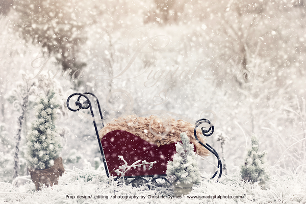 Christmas sled in winter land - Newborn digital background - JPG