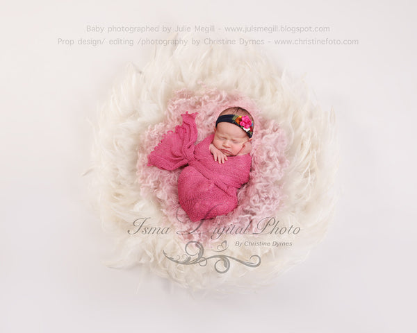 Feather Nest - Light background whit white feather and bright pink wool - Digital Newborn Photography Prop