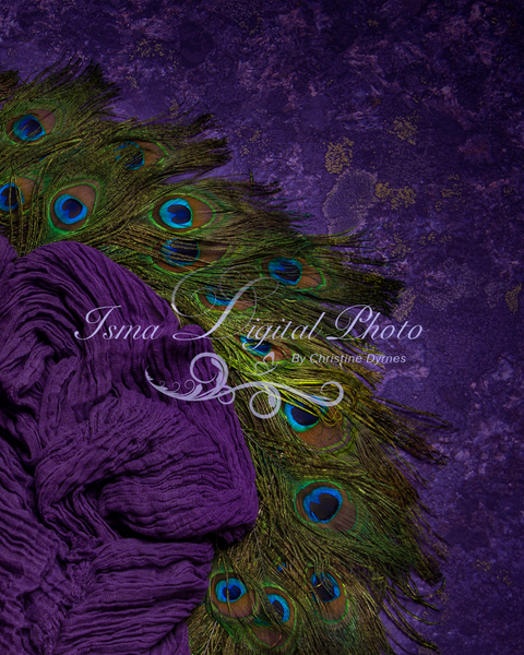 Digital peacock feather circle design with texture - Digital backdrop - psd with layers