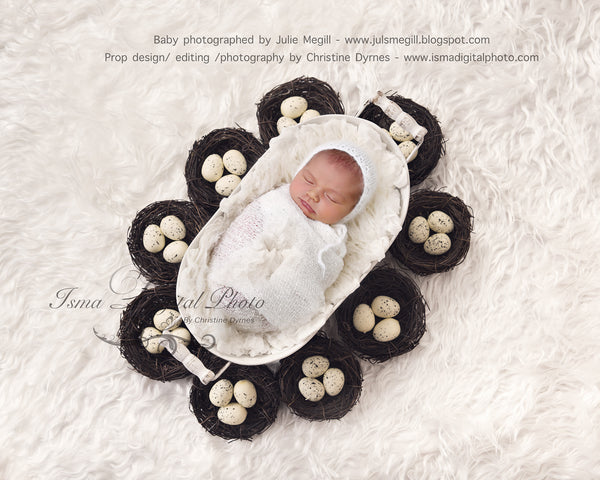 Easter Bucket With Egg - Beautiful Digital background Newborn Photography Prop download