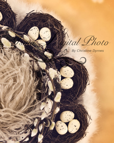 Easter Wreath With Eggs And Nests - Beautiful Digital background Newborn Photography Prop download