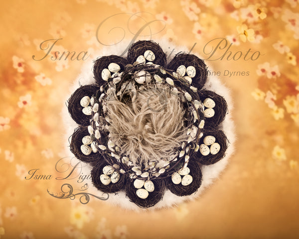 Easter Wreath With Eggs And Nests - Beautiful Digital background Newborn Photography Prop download
