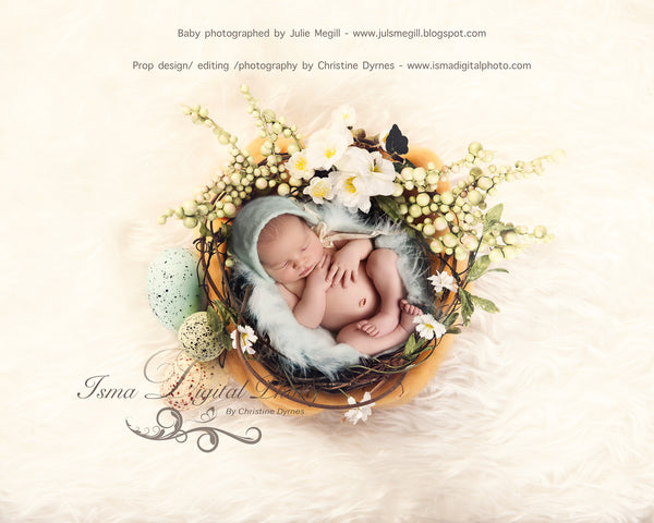 Easter Wreath With Flower - Beautiful Digital background Newborn Photography Prop download