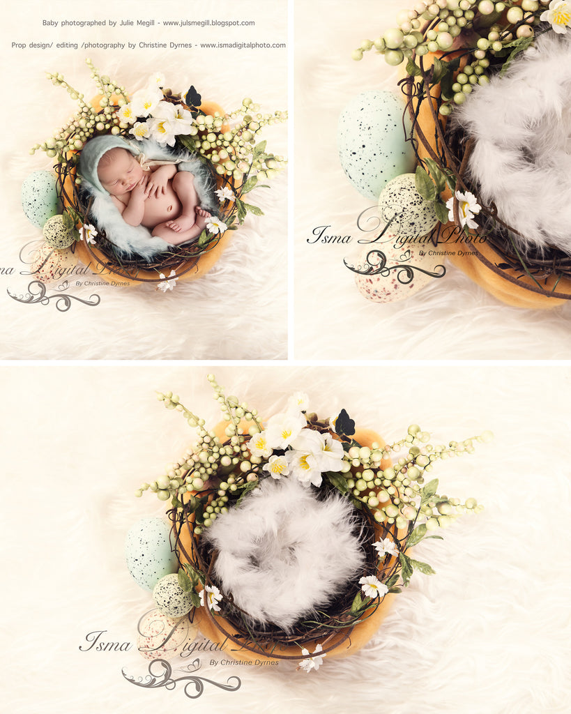 Easter Wreath With Flower - Beautiful Digital background Newborn Photography Prop download