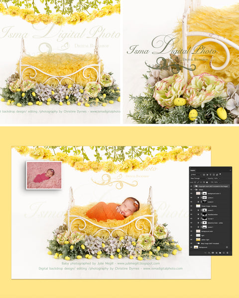 Iron Bed - Newborn digital backdrop /background - psd with layers
