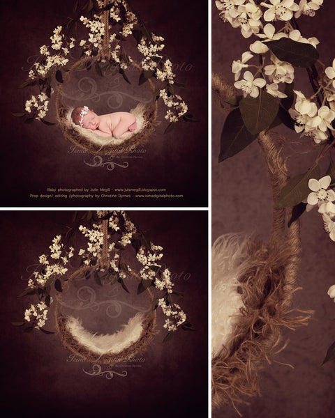 Newborn Hanging Circle Design - Digital backdrop /background - psd with layers