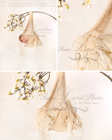 Baby Posing Swing  - Beautiful Digital background backdrop Newborn Photography Prop download