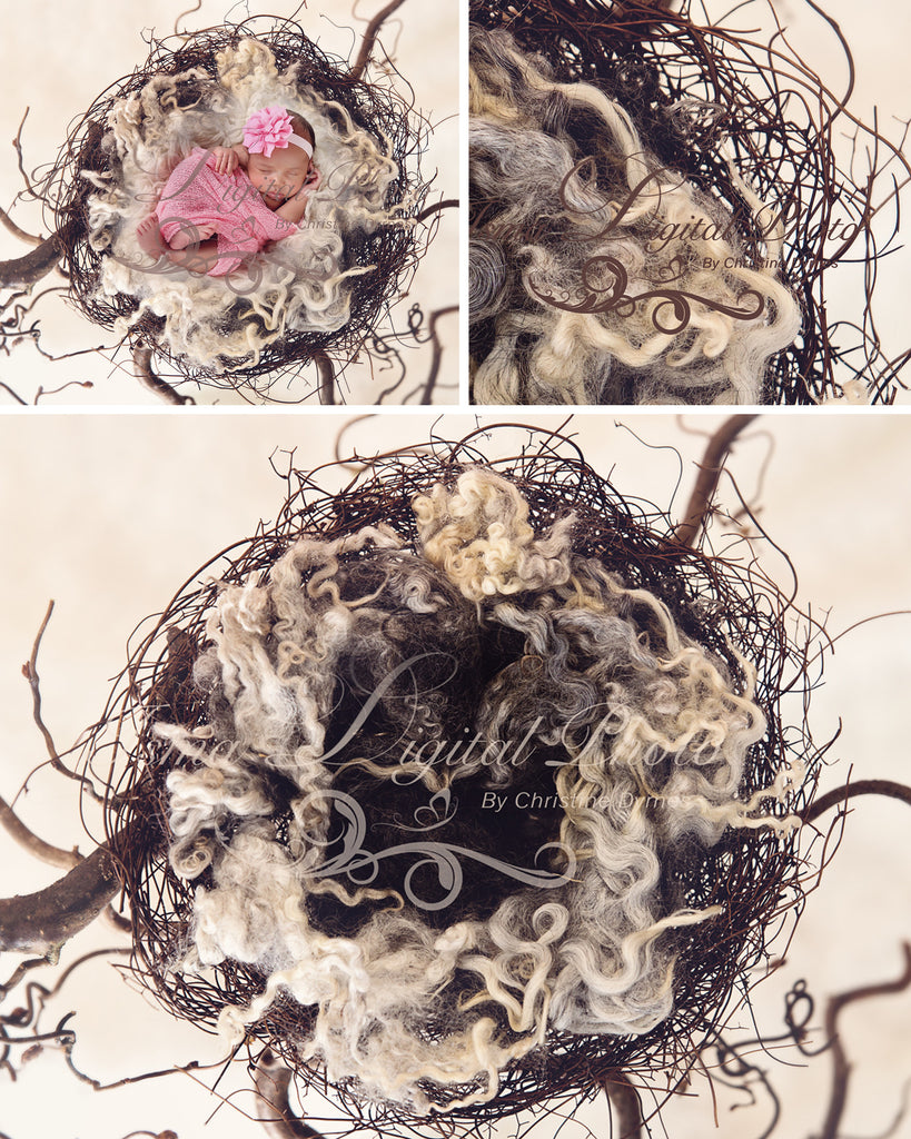 Nest - Beautiful Digital background Newborn Photography Prop download