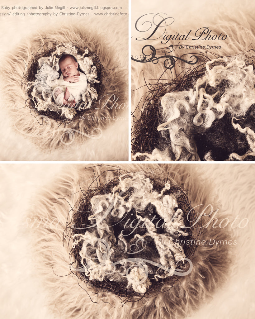 Vintage Nest with wool - Beautiful Digital background Newborn Photography Prop download