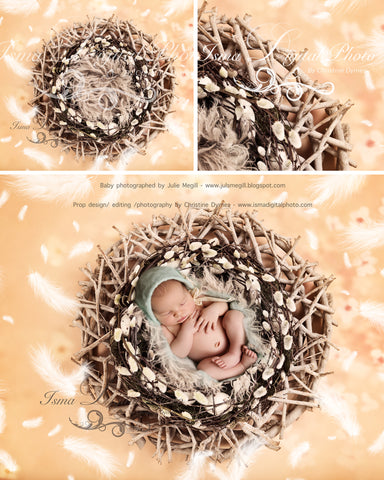 Easter wreath - Digital backdrop /background