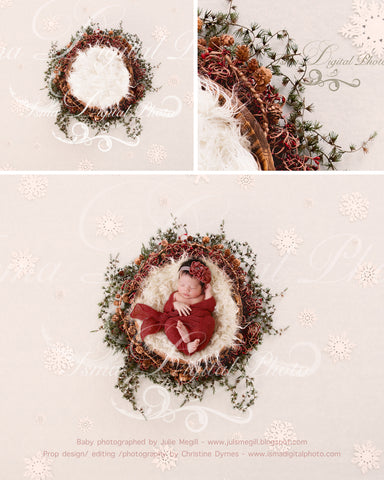 Newborn Christmas nest - Digital backdrop - psd with layers