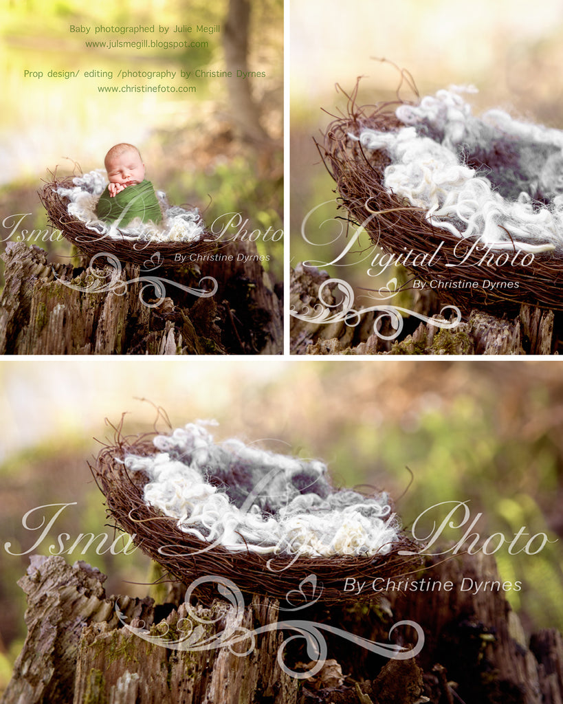 Nest Nature - Beautiful Digital background Newborn Photography Prop download