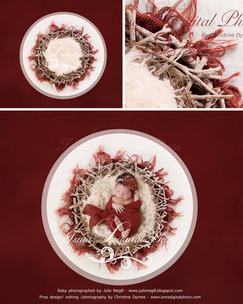 Newborn Christmas nest 5 - Digital backdrop /background - psd with layers