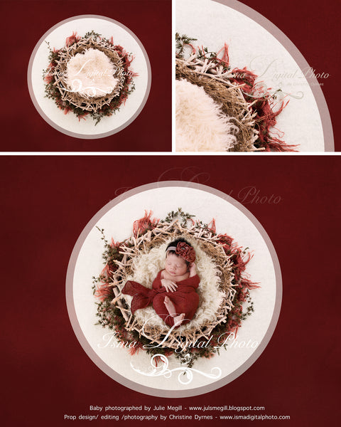 Newborn Christmas nest 9 - Digital backdrop /background - psd with layers