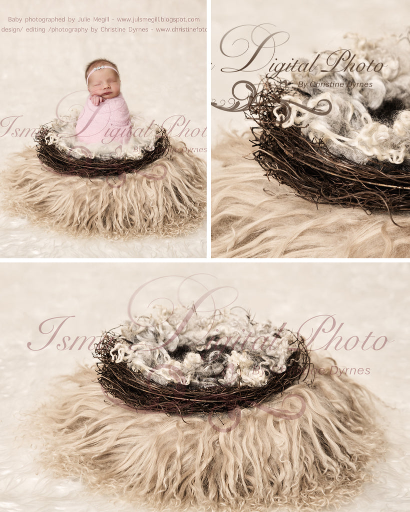 Vintage nest 2 - Digital backdrop /background