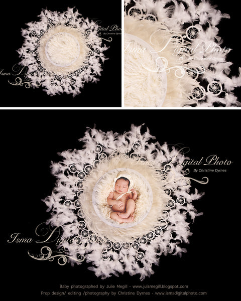 White feather nest design - Digital backdrop /background - psd with layers