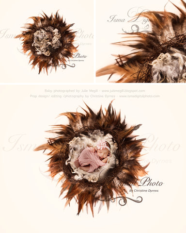 Nest Feather With Light Background - Digital Newborn Photography Prop