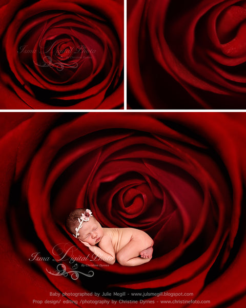 Rose Baby - Beautiful Digital background Newborn Photography Prop download