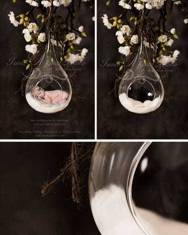 Glass Bowl With dark Background - Digital backdrop /background