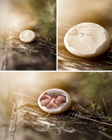 Egg 4 - Beautiful Digital background Newborn Photography Prop download