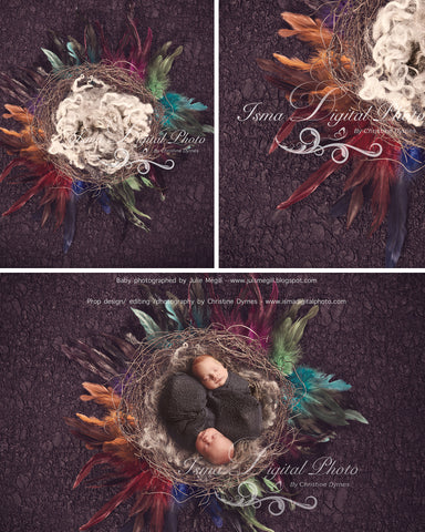 Artistic Feather Nest 2 - Beautiful Digital background Newborn Photography Prop download