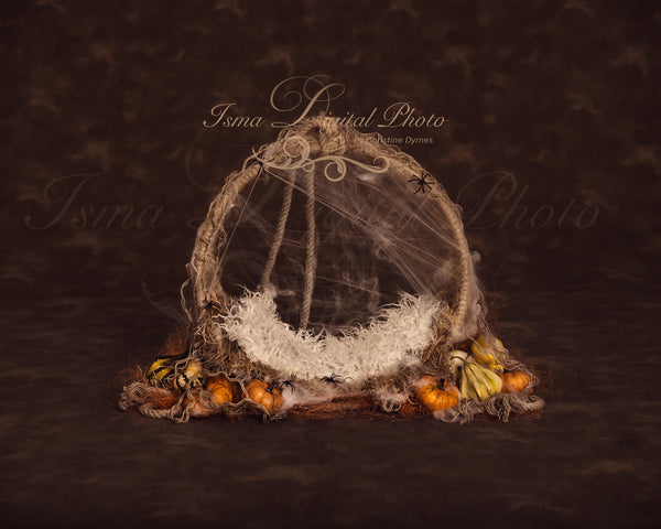 Halloween circle design - Newborn digital backdrop /background - psd with layers