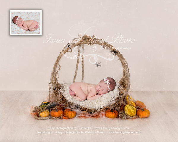 Halloween circle design - Newborn digital backdrop /background - psd with layers