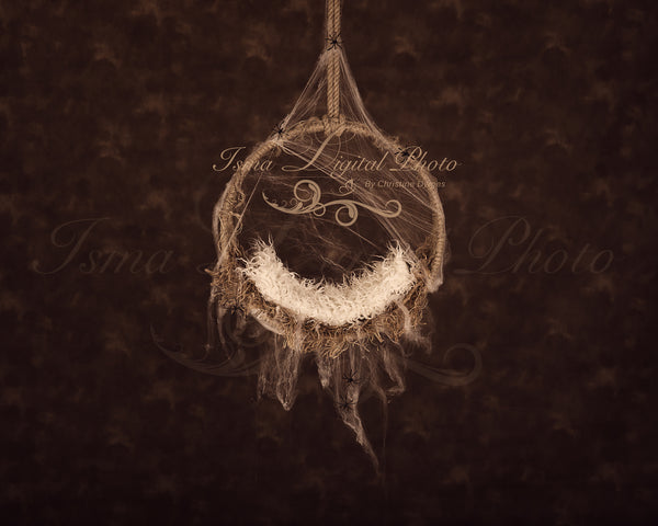 Halloween hanging circle design - Newborn digital backdrop /background - psd with layers
