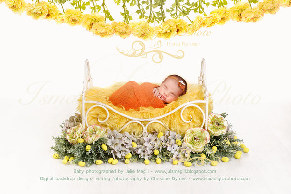 Iron Bed - Newborn digital backdrop /background