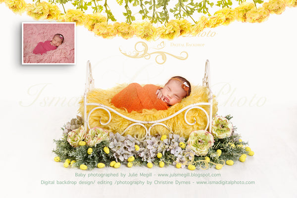 Iron Bed - Newborn digital backdrop /background - psd with layers