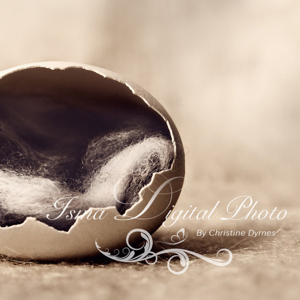 Egg  2 - Beautiful Digital background Newborn Photography Prop download