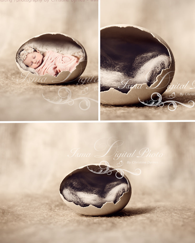 Egg  2 - Beautiful Digital background Newborn Photography Prop download